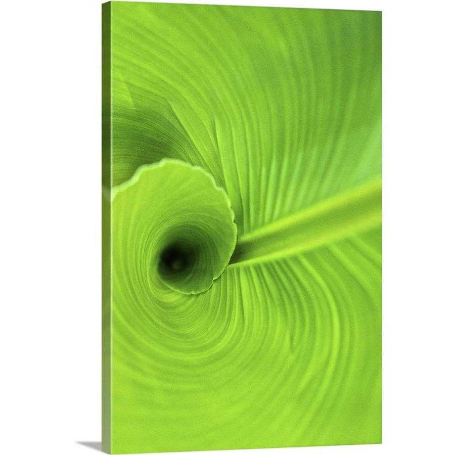 GreatBigCanvas Frameless 24-in H x 16-in W Abstract Canvas Painting | 2509433-24-16X24