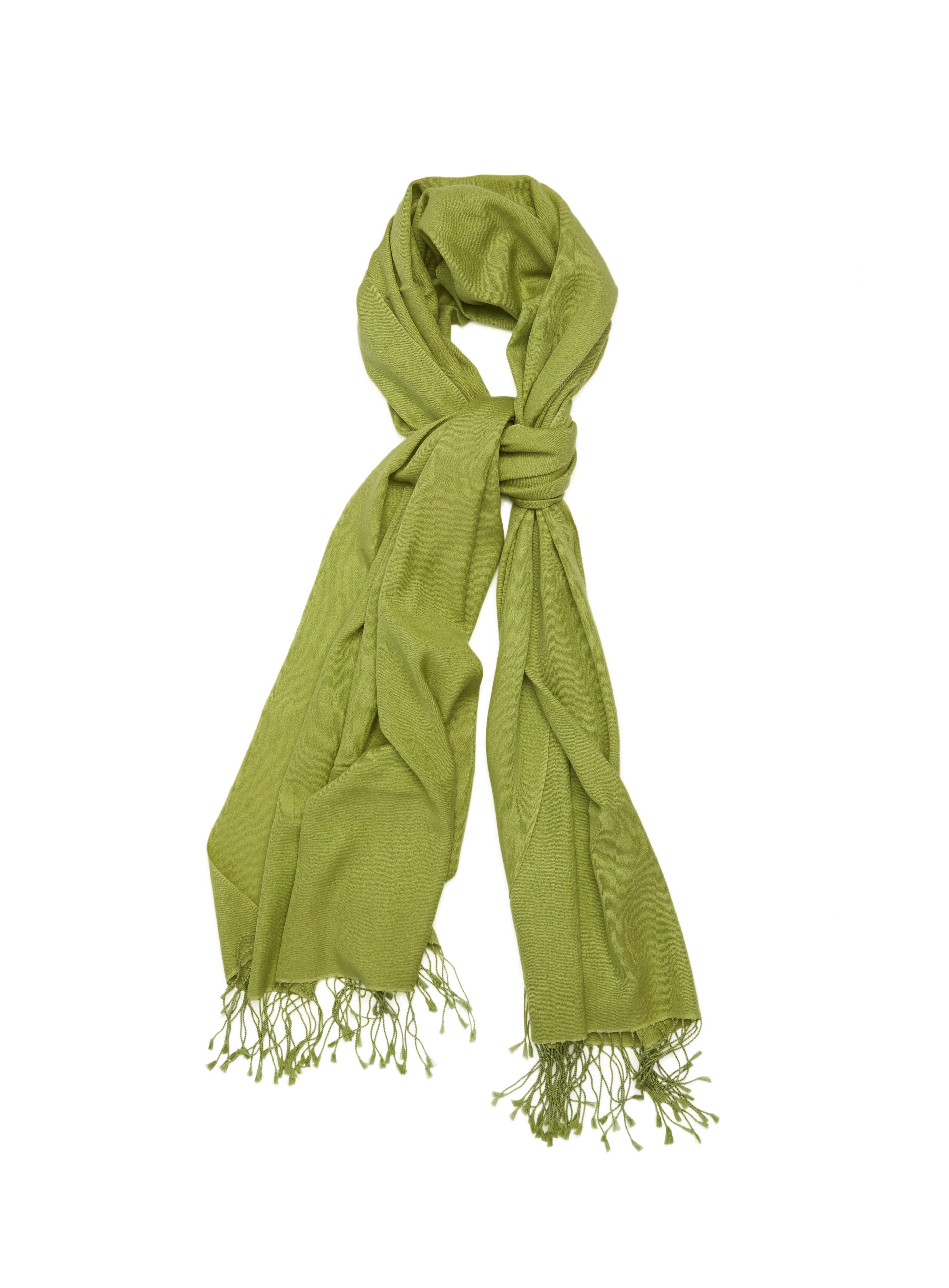 Pashmina and Silk Wrap (Spring Green)