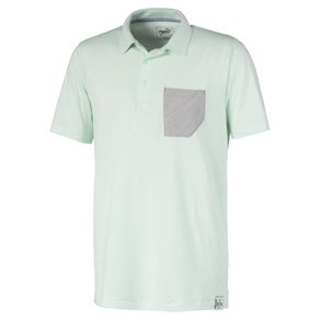 Puma Men\'s Cloudspun Champions Polo 2116457-Mist Green  Size sm, mist green