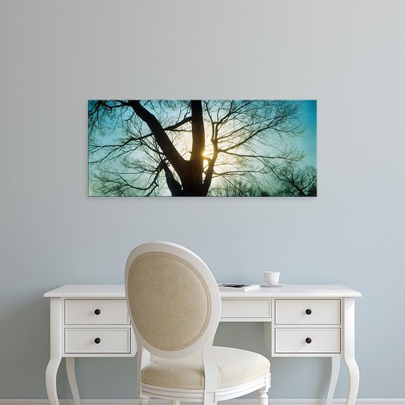 Easy Art Prints Panoramic Image 'Sunlight, bare tree, Prospect Park, Brooklyn, Manhattan, New York City' Canvas Art