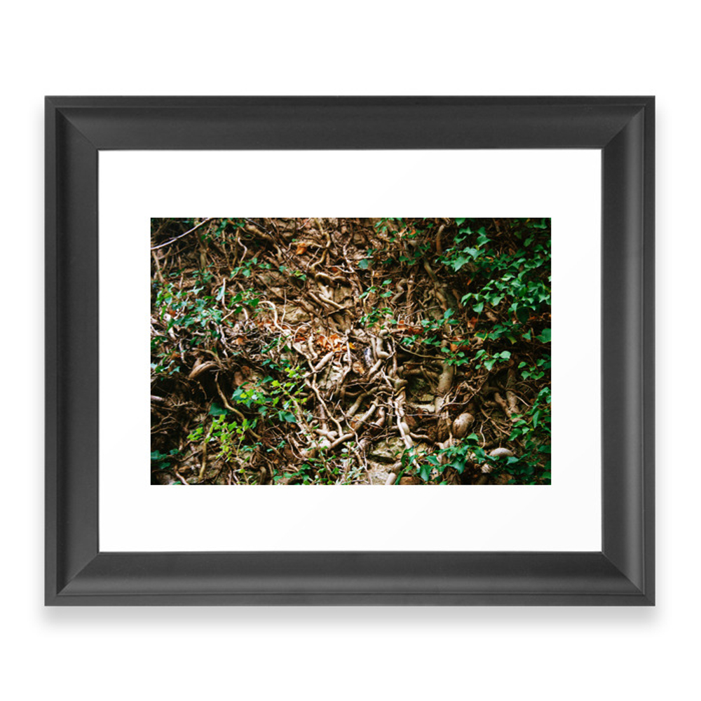 Tangled III Framed Art Print by gugunia