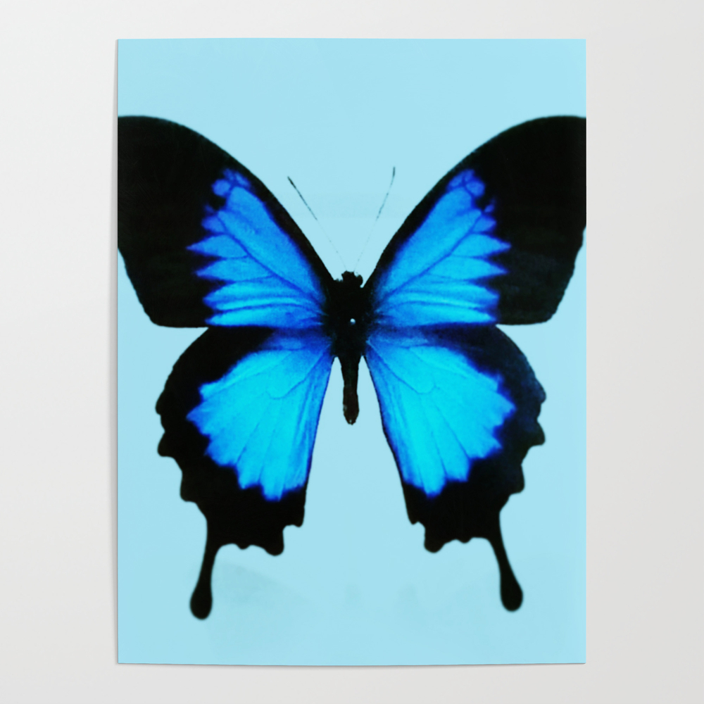 Enchanted Blue Poster by alexandria_kuo