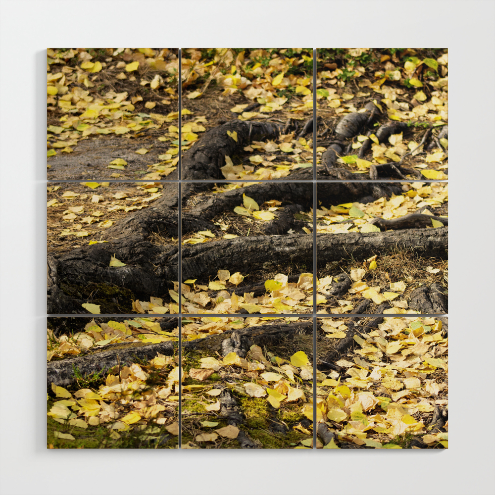 Summers Fall Wood Wall Art by notyouraveragegary_photography